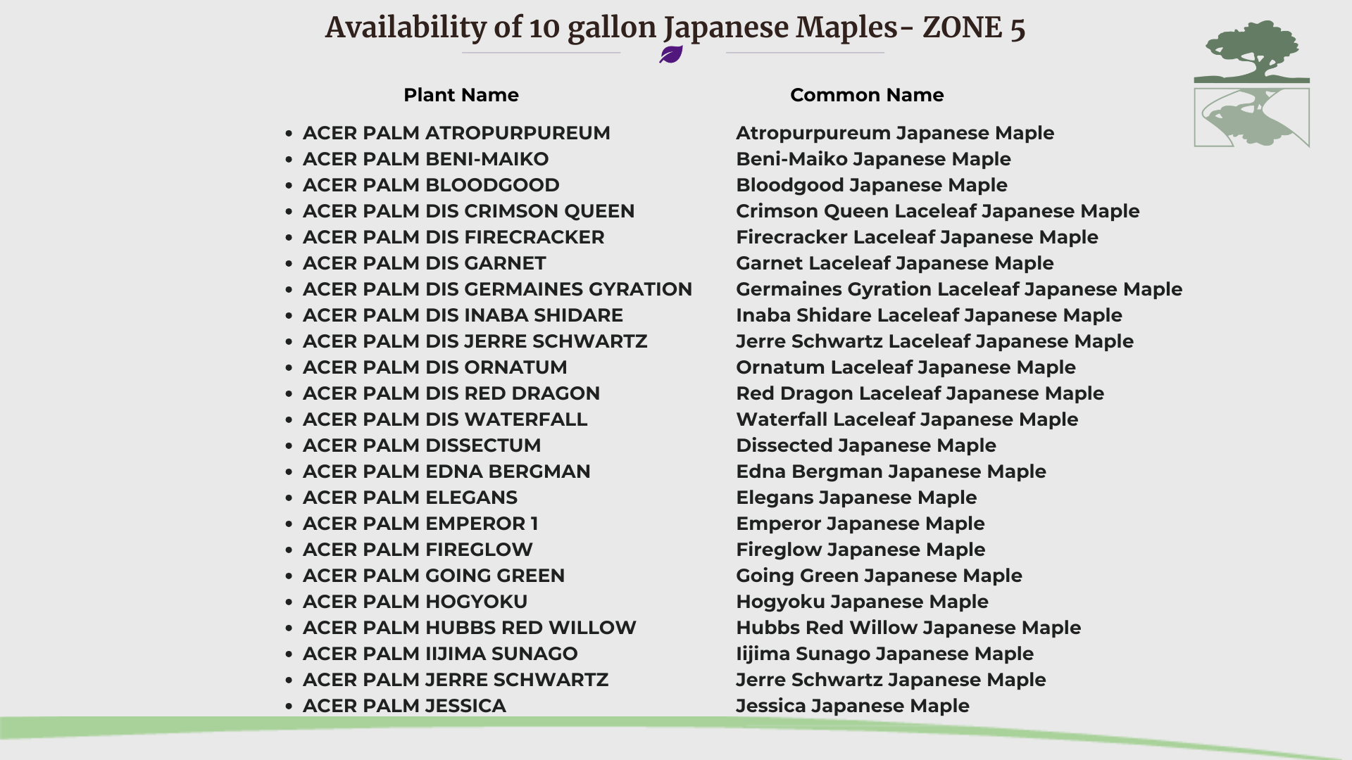 Japanese Maple 10 Gallon Collection pg 19