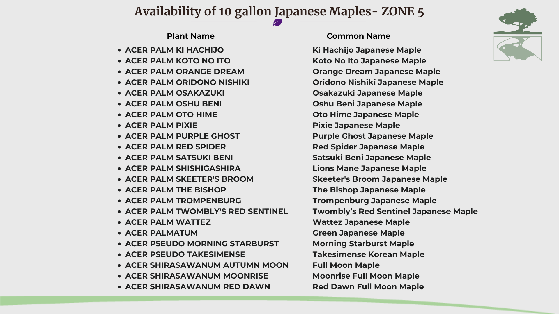 Japanese Maple 10 Gallon Collection pg 20